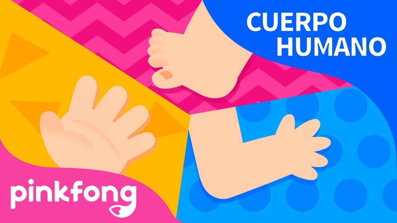 Nuestro Cuerpo | Cuerpo Humano | Pinkfong Canciones Infantiles