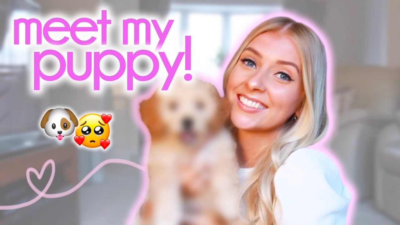У МЕНЯ РОДИЛСЯ ЩЕНОК! 🐶 Приношу домой своего кавапу...