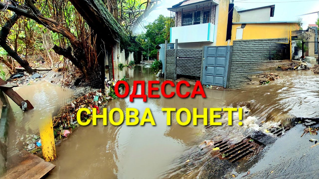 Ужас! Одесса продолжает тонуть. Обрушения домов и дорог. Сильный дождь. Золотой Берег. #зоотроп
