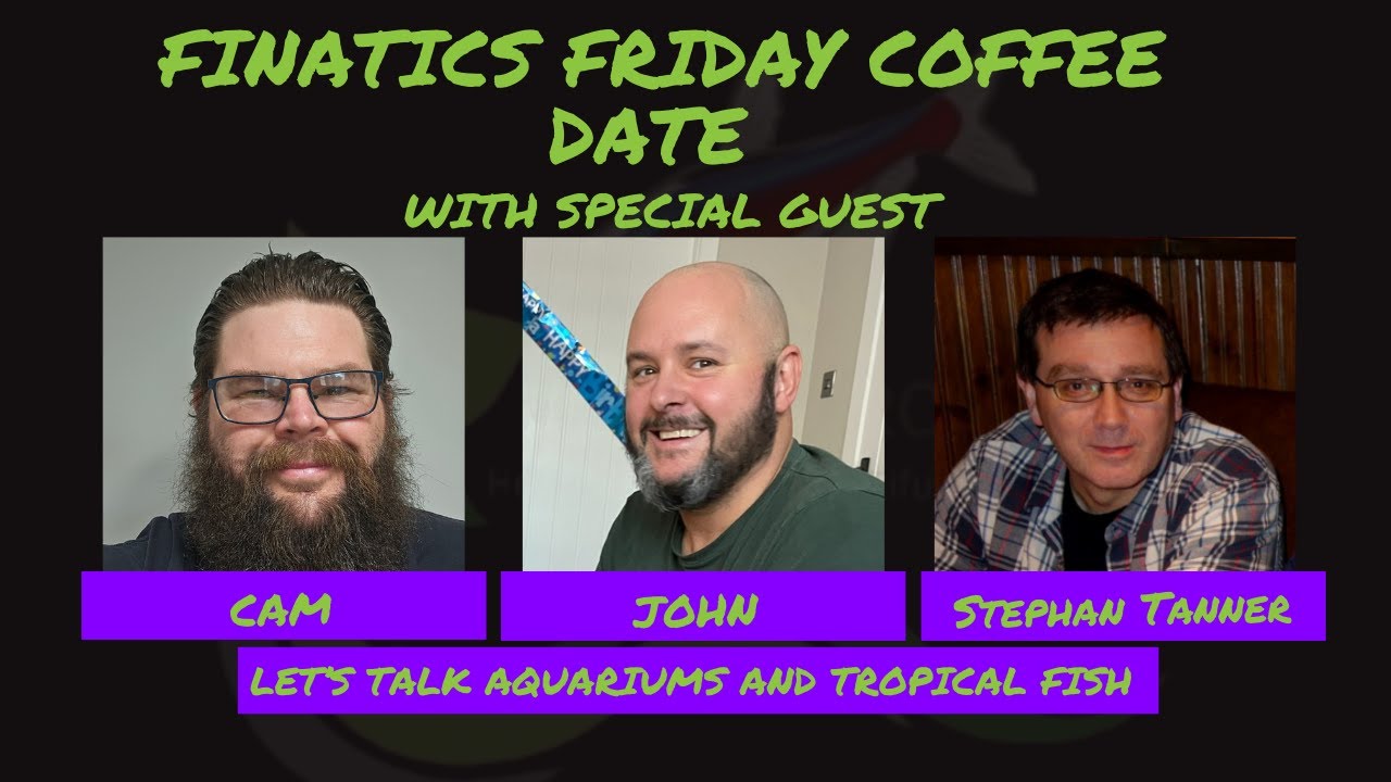 FFCD Episode 198 with Stephan Tanner