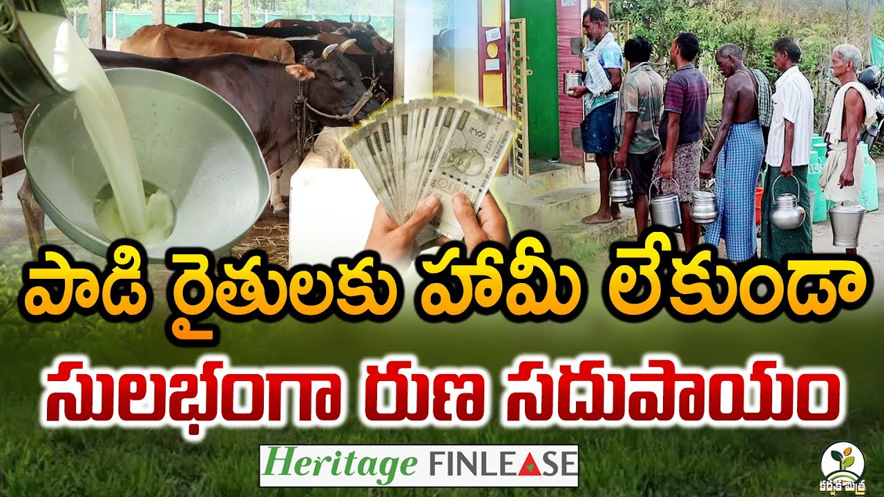 పాడి రైతులకు 2 రోజుల్లో రుణం | Loan for Dairy farmers without any Collateral | Karshaka Mitra