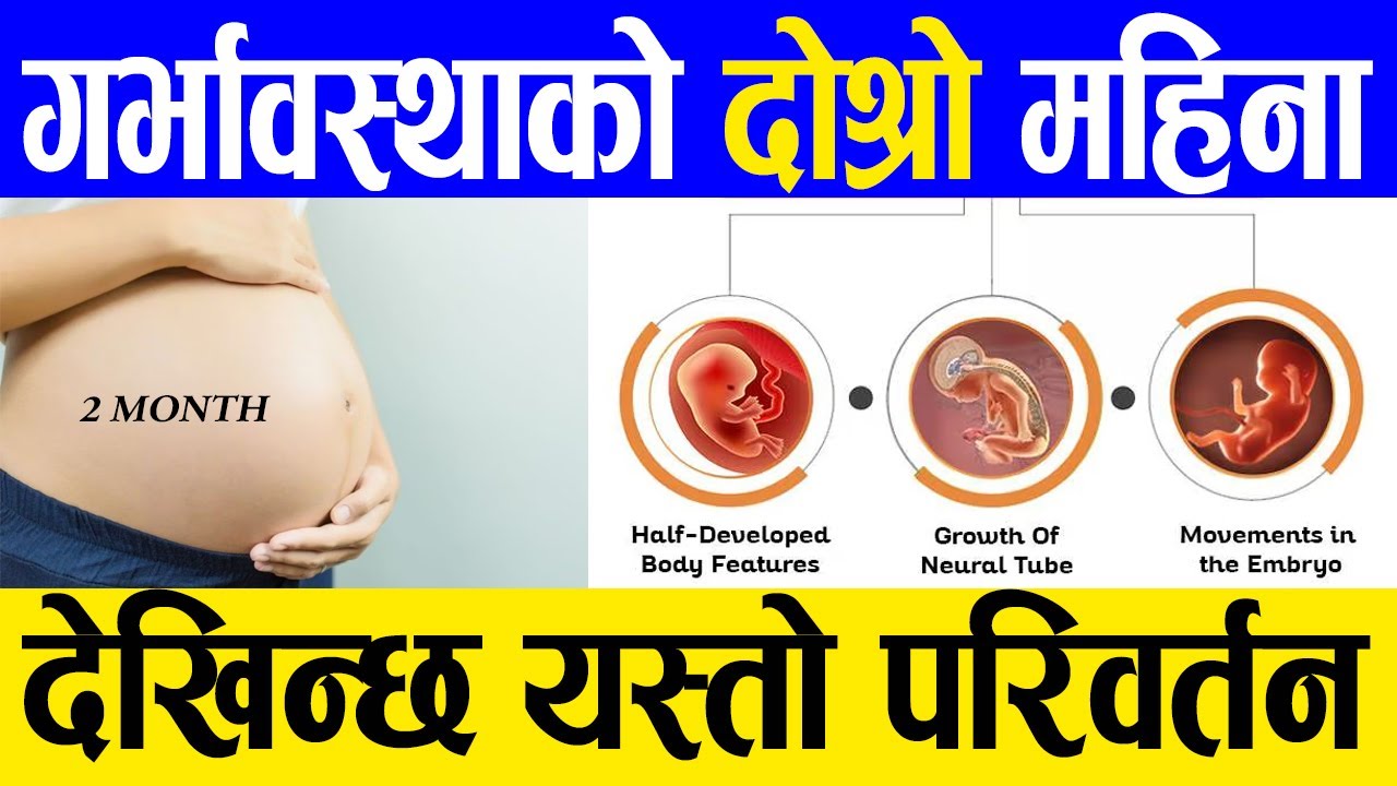Pregnancy symptoms in 2nd month गर्भावस्थाको दोस्रो महिना nepali health tips | samacharpati health