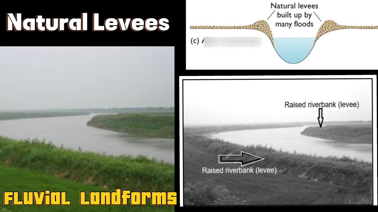 Natural Levees | Fluvial Landform Grade 12