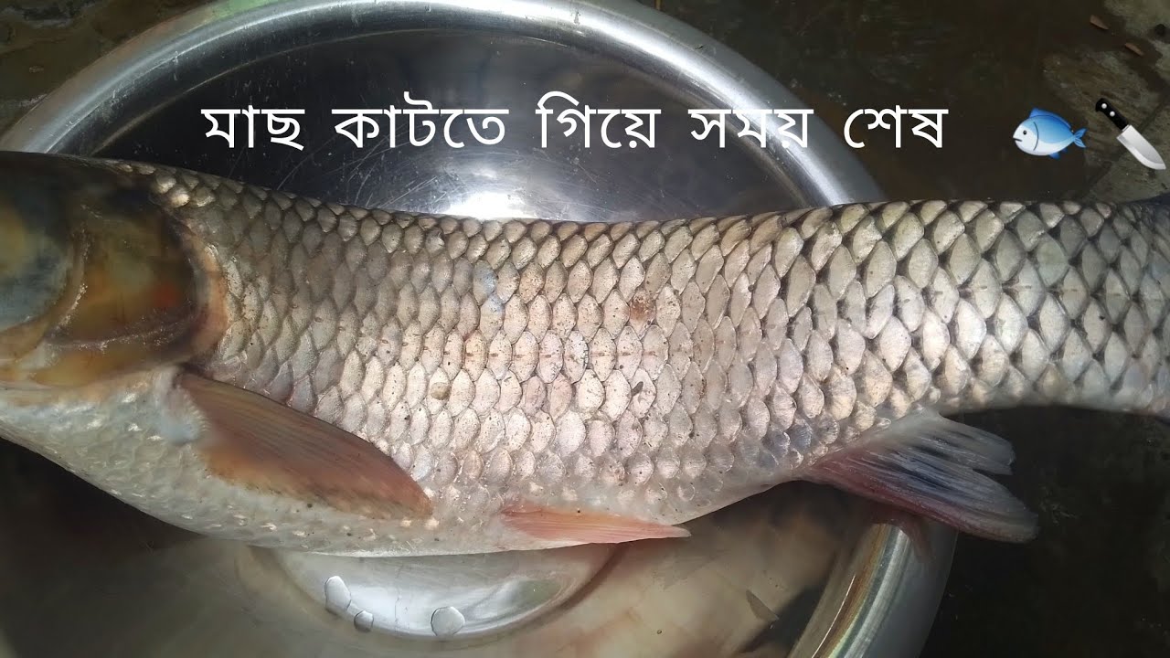 মাছ কাটতে গিয়ে সময় শেষ 🐟😐😌#cooking #cookingvideo #foryou 
