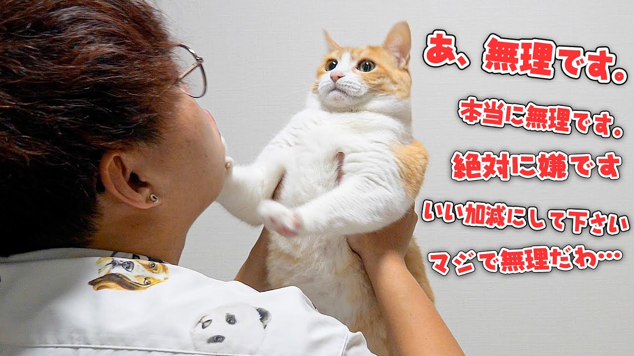 何がなんでも絶対に飼い主とだけはキスしたくない猫たちが必死すぎて心が折れました…