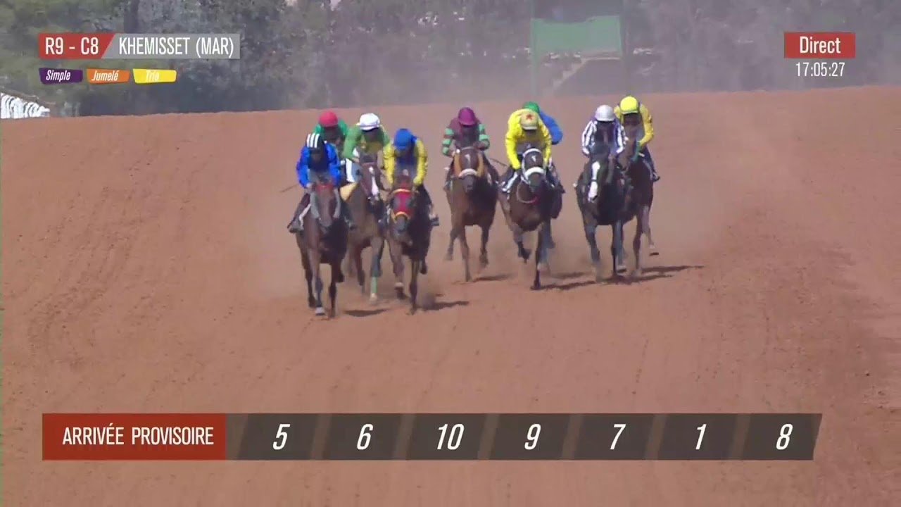 Live Hippodrome &laquo; KHEMISSET &raquo; | Courses du &laquo; 11/06/2025 &raquo;