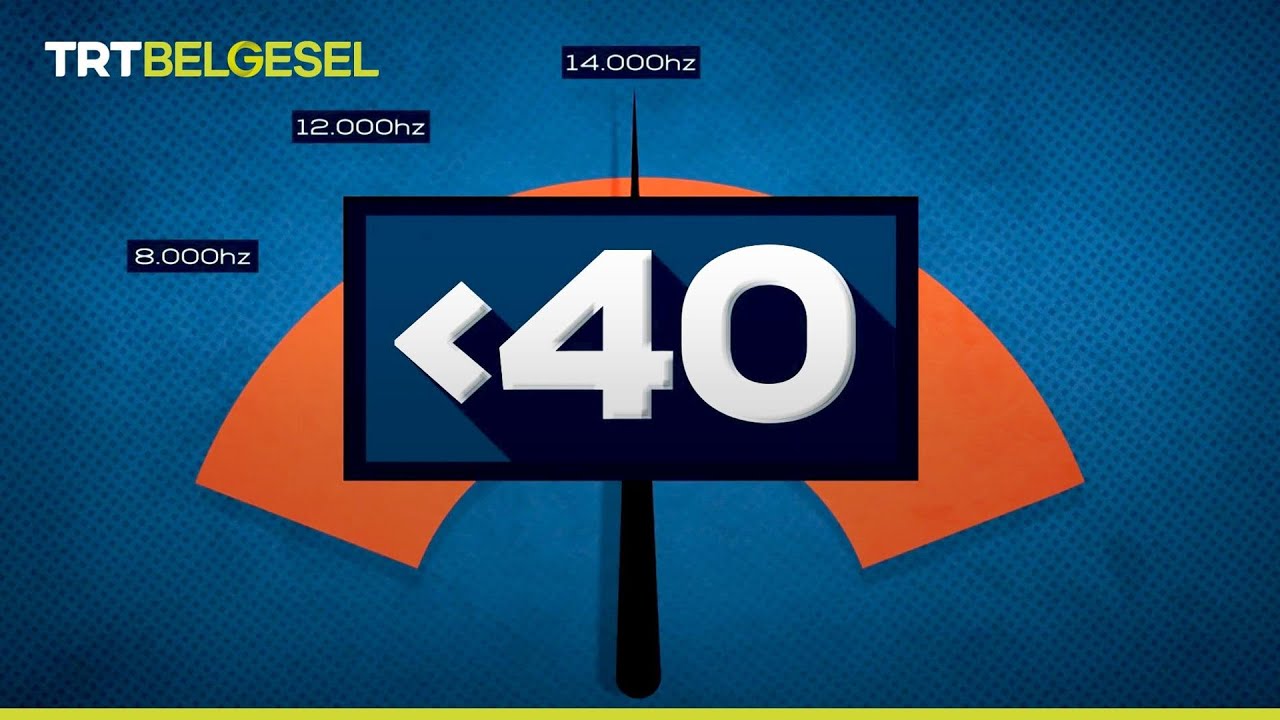 Bunları Biliyor Muydunuz? | Bilimin Ev Hali | TRT Belgesel