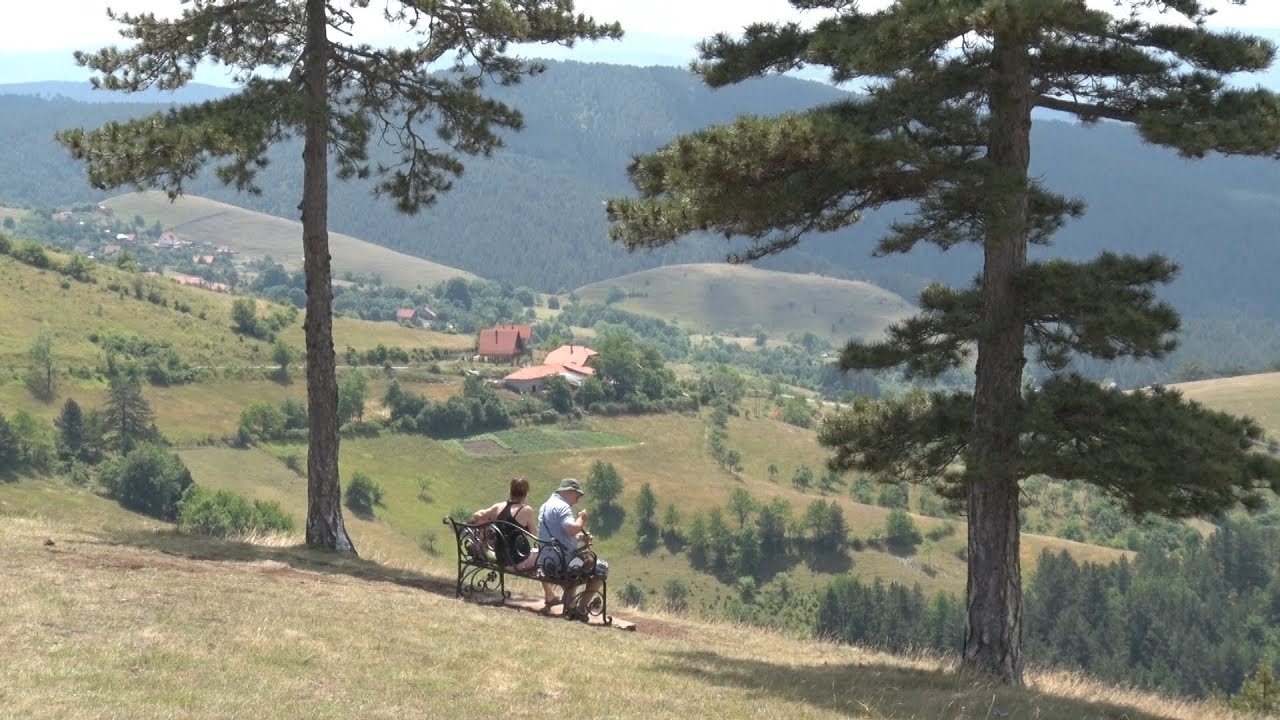 Dobroselica