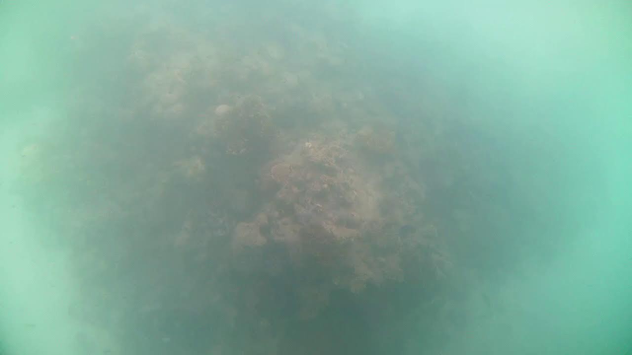 Underwater Cam - Green Island - Great Barrier Reef