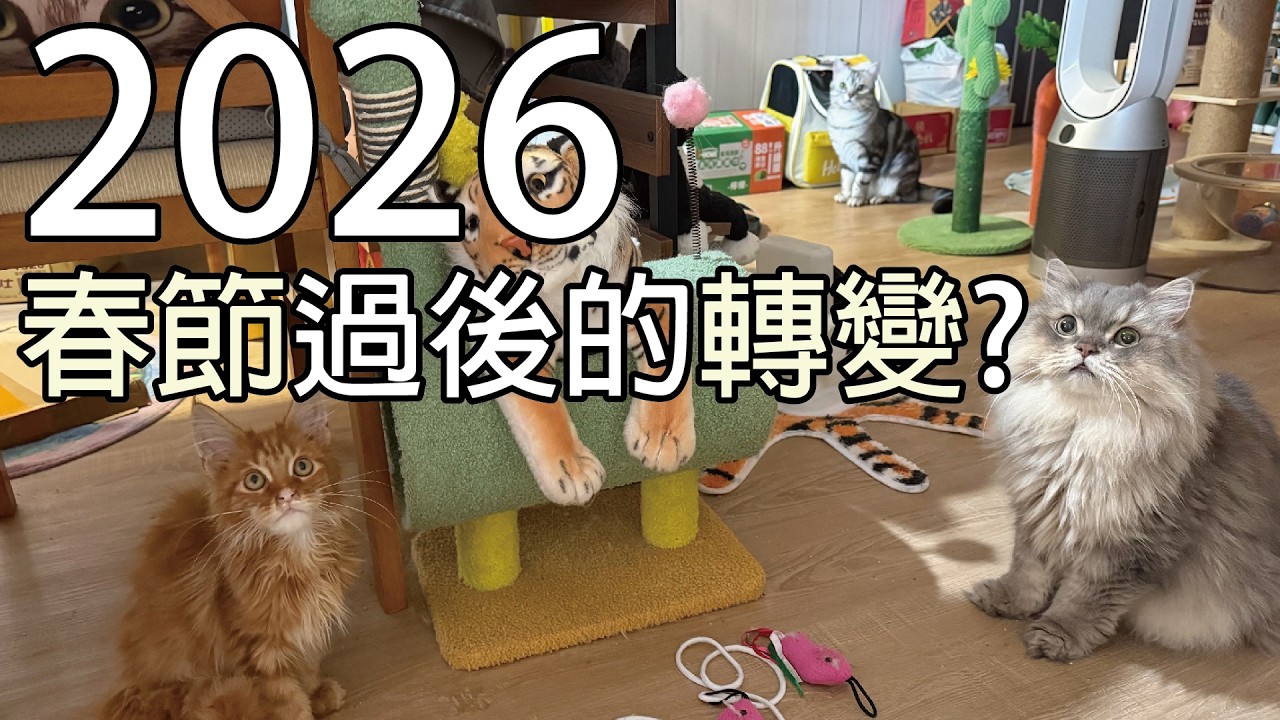 🧧✨2026年春節後的轉變?✨🧧