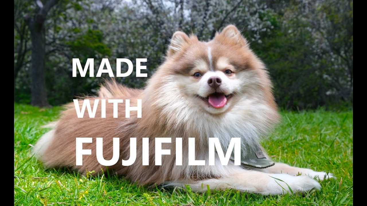 Make your image POP instantly | Photo review with Goldman999