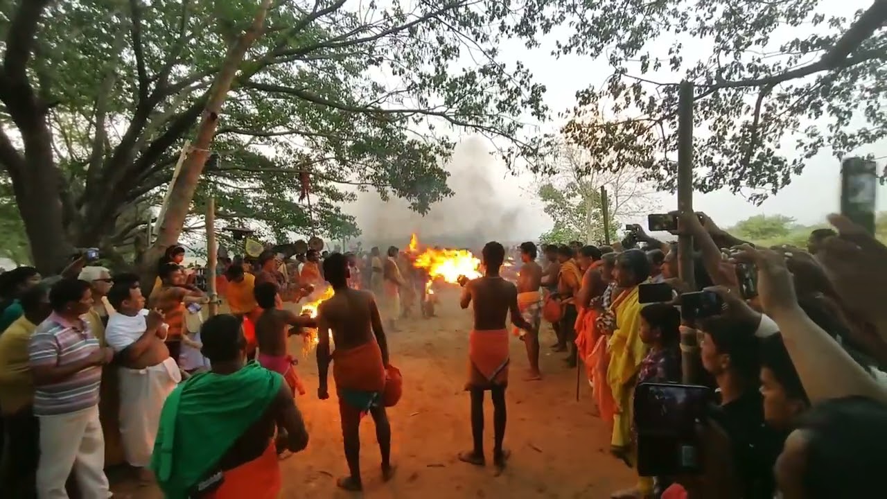 108 muthi danda | Rasanga | 2022 | jai danda kala