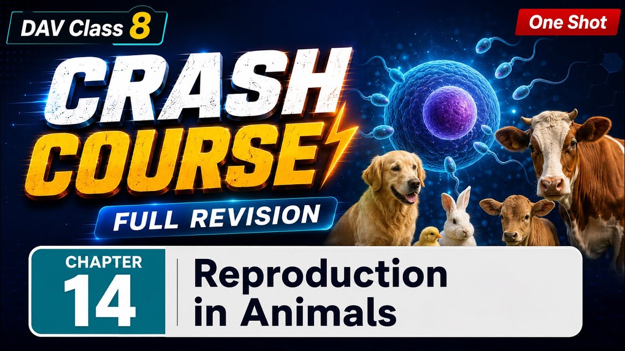 Science Chapter 14 | Reproduction in Animals ( CRASH COURSE ) 💥
