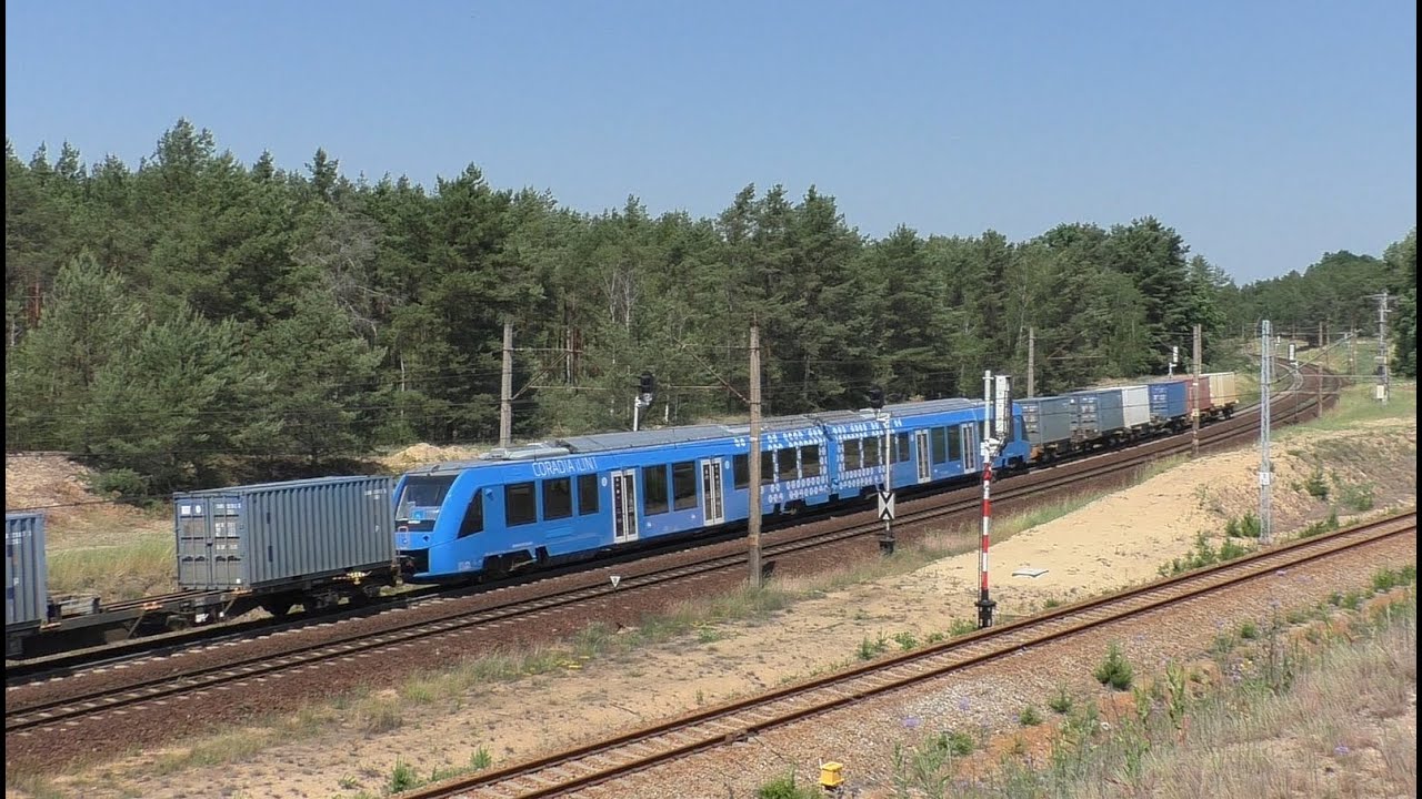 [Freightliner PL] JT42M-66012 z Alstom Coradia iLint 54 | Czerwieńsk