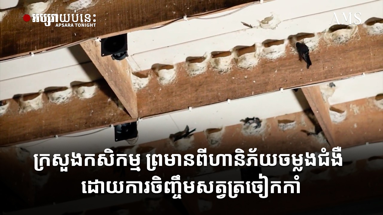 ក្រសួងកសិកម្ម ព្រមានពីហានិភ័យចម្លងជំងឺ