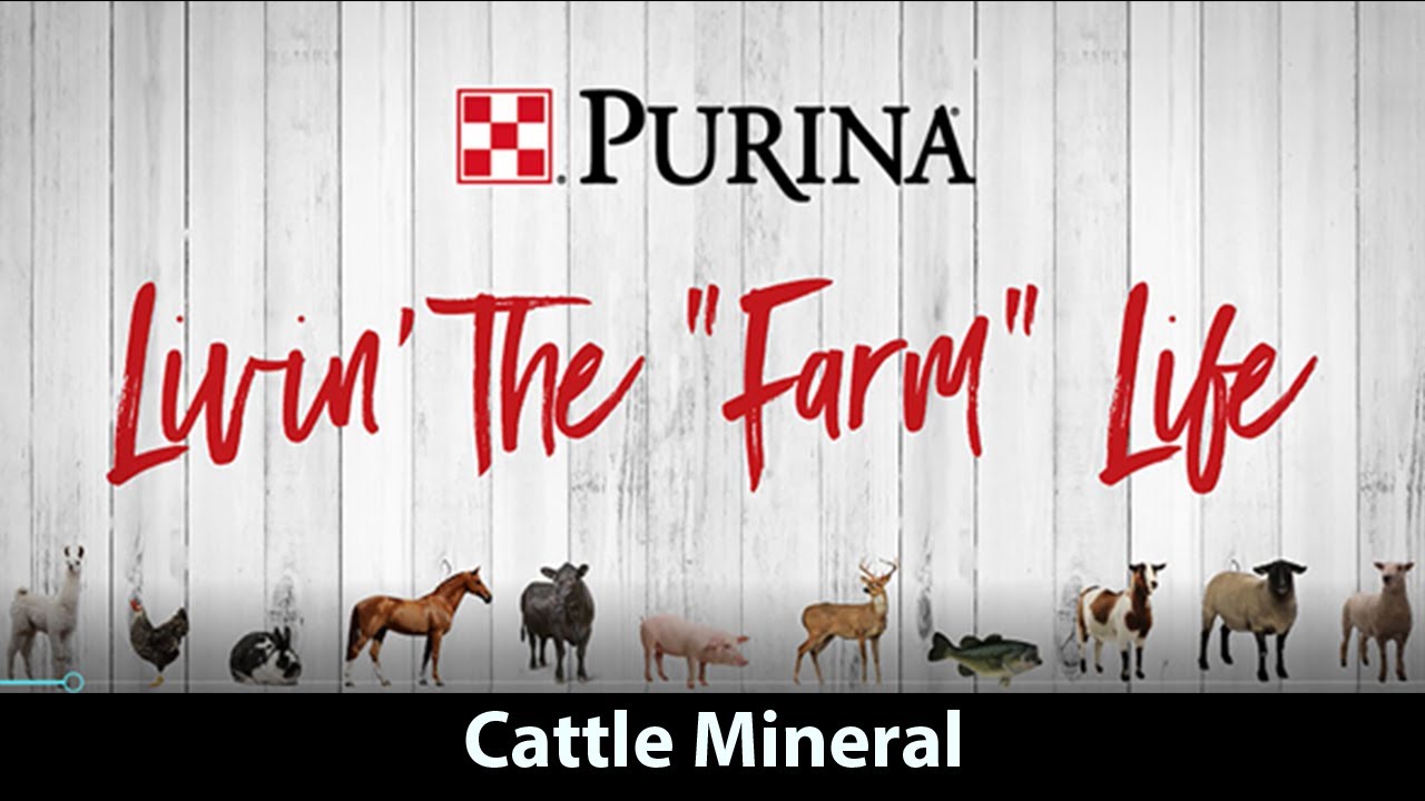 Purina Livin' the "Farm" Life - Cattle Mineral