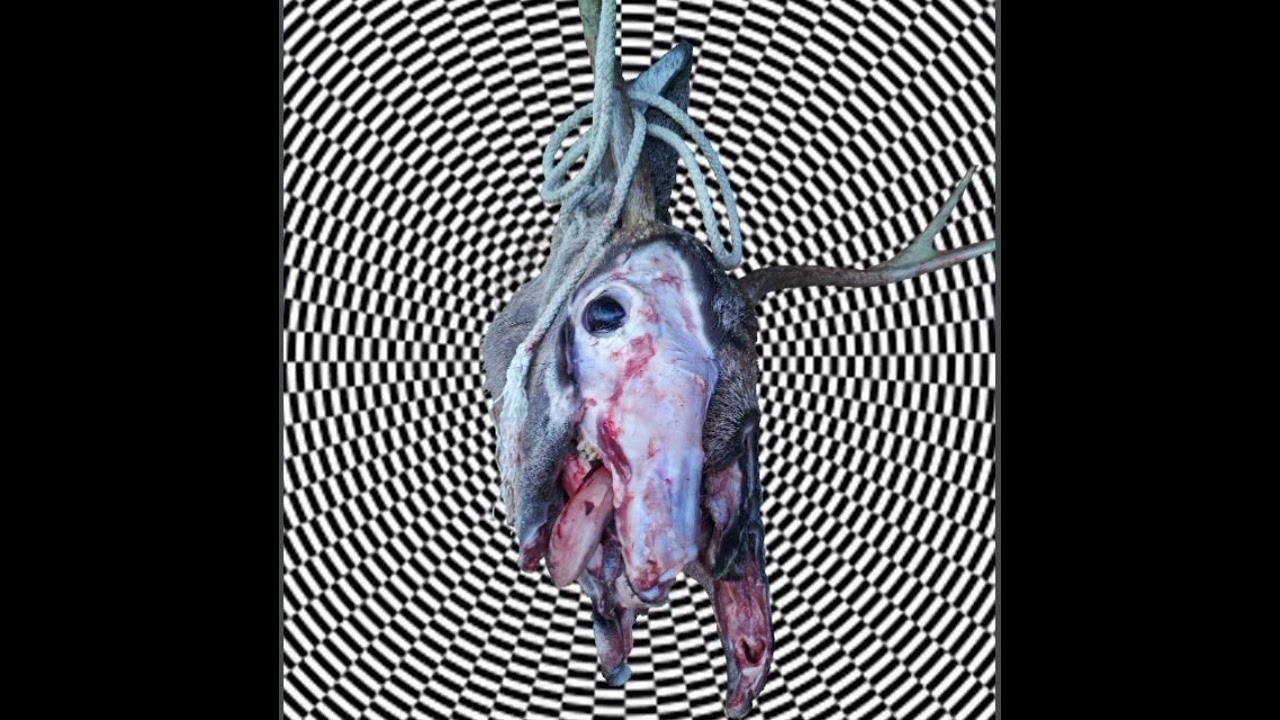 Feral King/Lonely Ghost Parade split EP