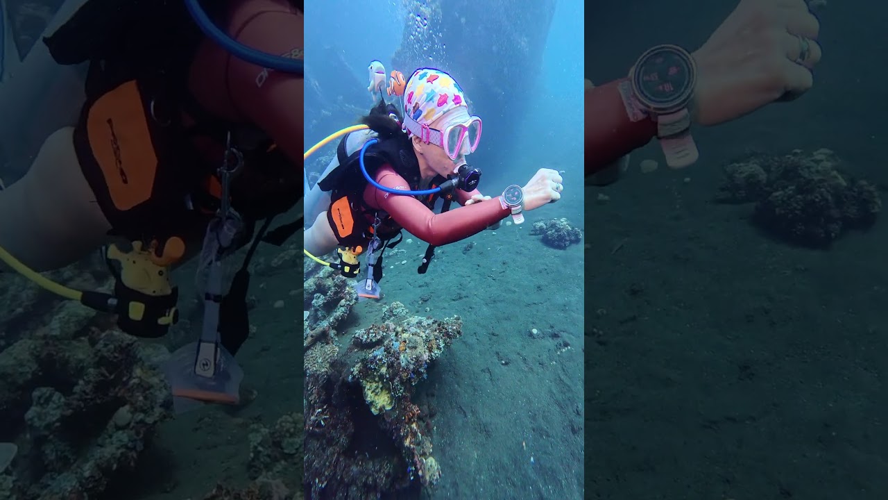 Suunto Ocean Dive Computer #suunto #deepblue #underwater #seaanimal #suuntowatch #suuntoocean