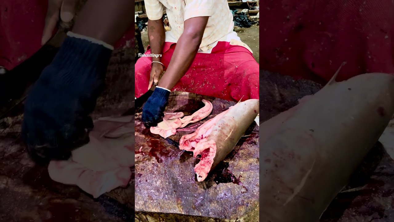 Видео разделки рыбы Сура/fishcuttingrs#fish #kasimedu #fishcuttingrs