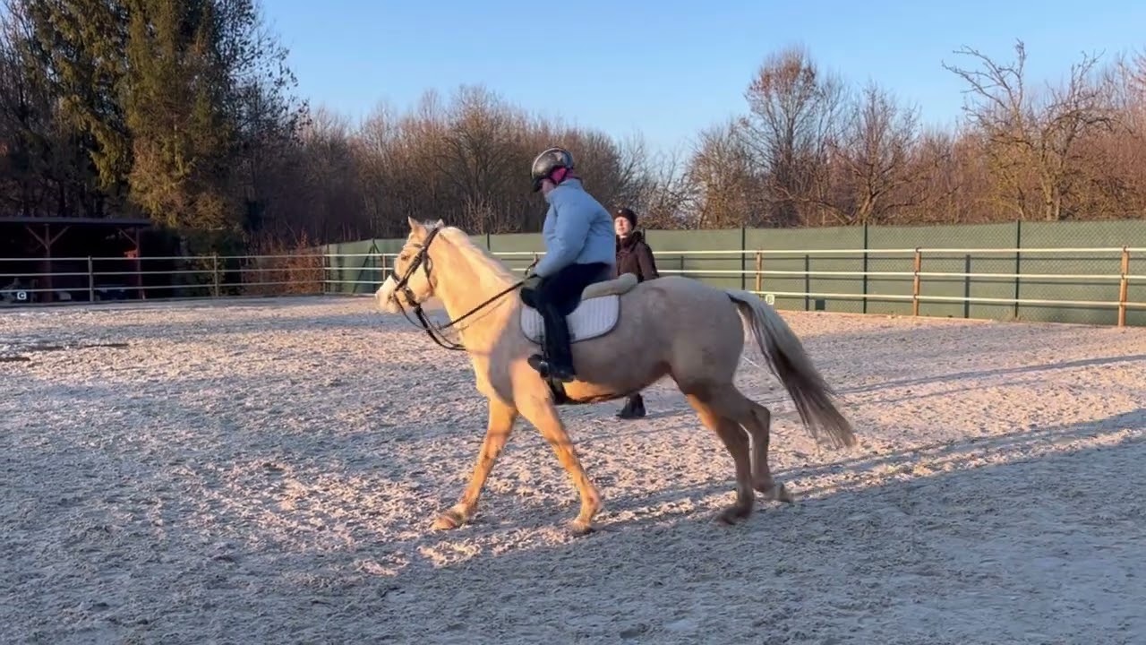 Sofi (8) na remontě Gucci (7) ❤