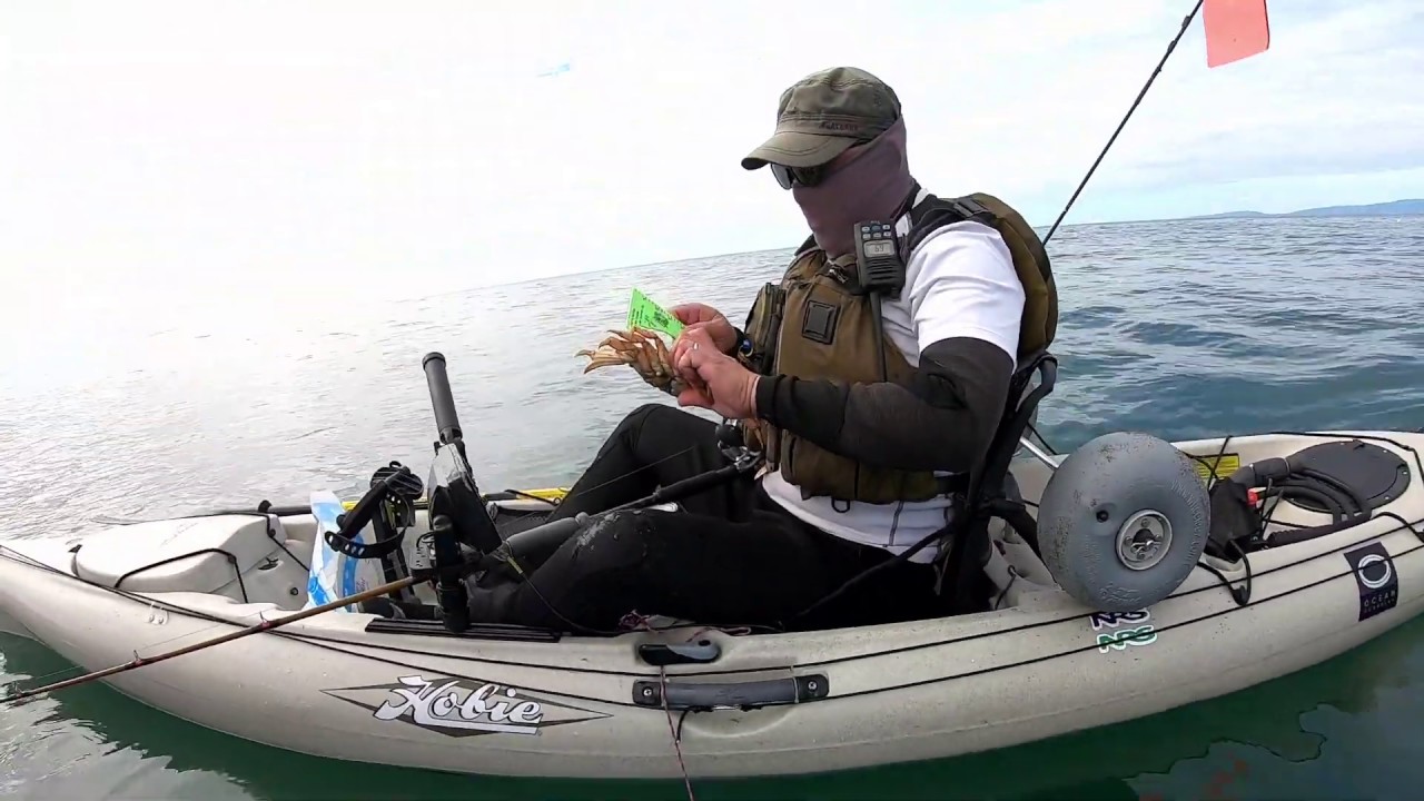 Dungeness Crab Snaring from a Kayak