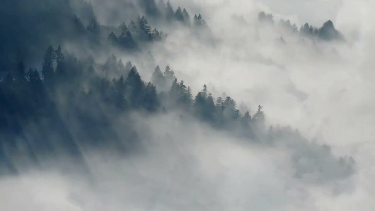 Guided Meditation: Preparing For Birth (For Intended Parents)