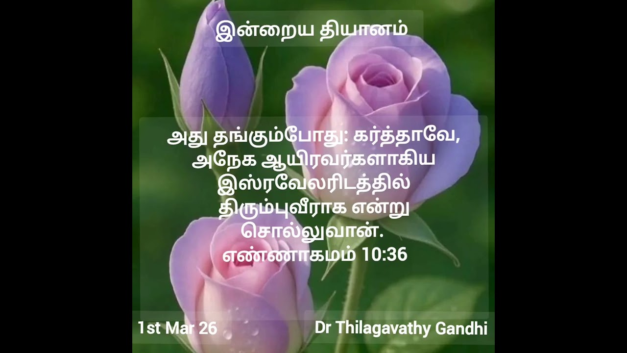 சத்துருக்கள் சிதறடிக்கப்...