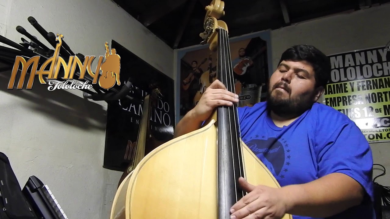 Ella ( Slappin Da Bass Cover) - Manny Tololoche
