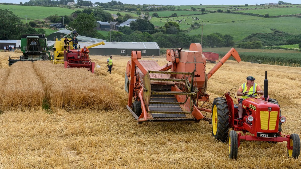 De Courcey Harvest Working Day - 2nd August 2021 - Clip 1