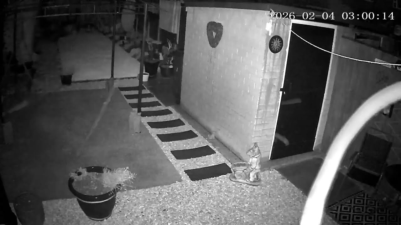 (4/2/2026) 2:55am HULL (Uk) BYC [0508]
