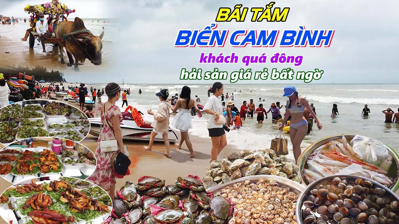 BÃI TẮM BIỂN CAM BÌNH LAGI BÌNH THUẬN - Nhộn nhịp chợ hải sản đủ loại giá rẻ bất ngờ