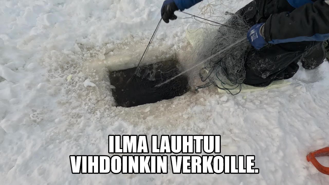 PÄÄSTIINHÄN SITÄ VERKOILLE.