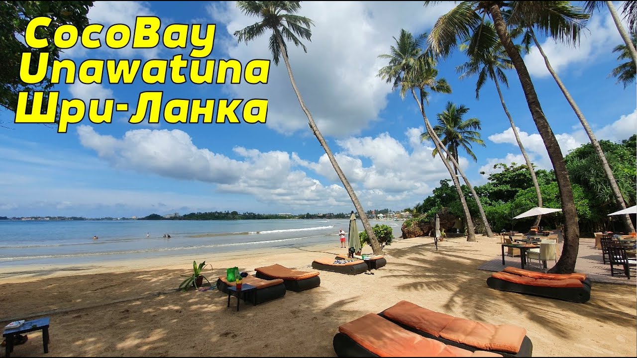 Отель CocoBay Unawatuna. Шри-Ланка