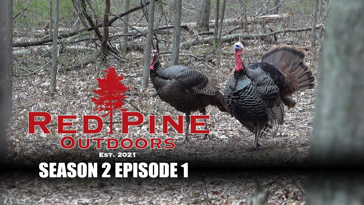 Brian and Brad Turkey Hunt - Red Pine Outdoors - S02E01