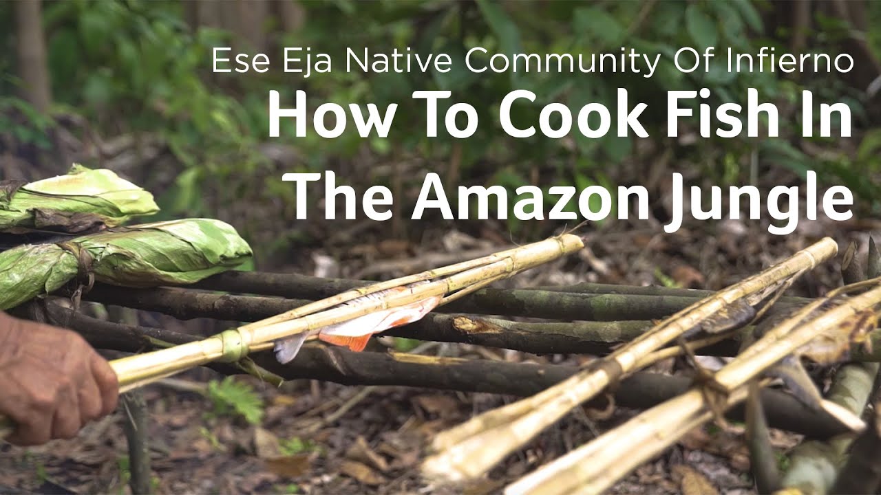 Amazon Native Community: How To Cook Fish In The Jungle (survival tips)