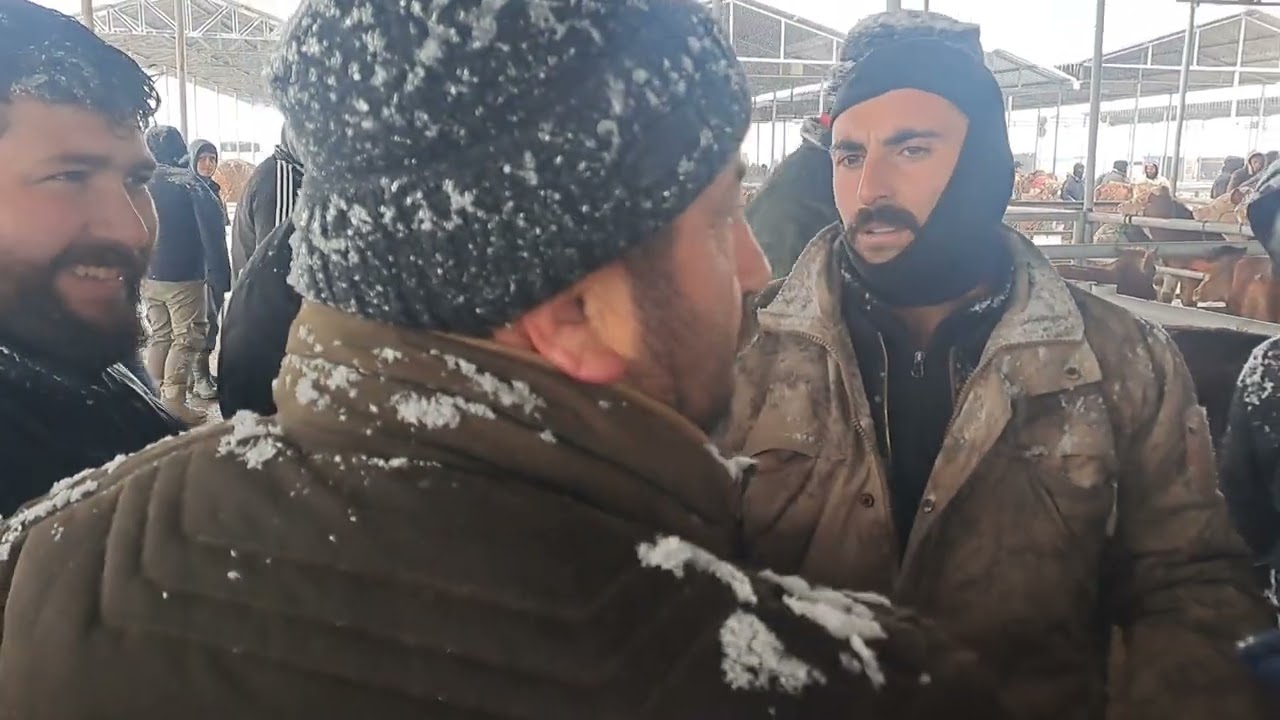 28.02.2026 sivas şarkisla hayvan pazari beğeni yapmayı unutmayalım teşekkürler 