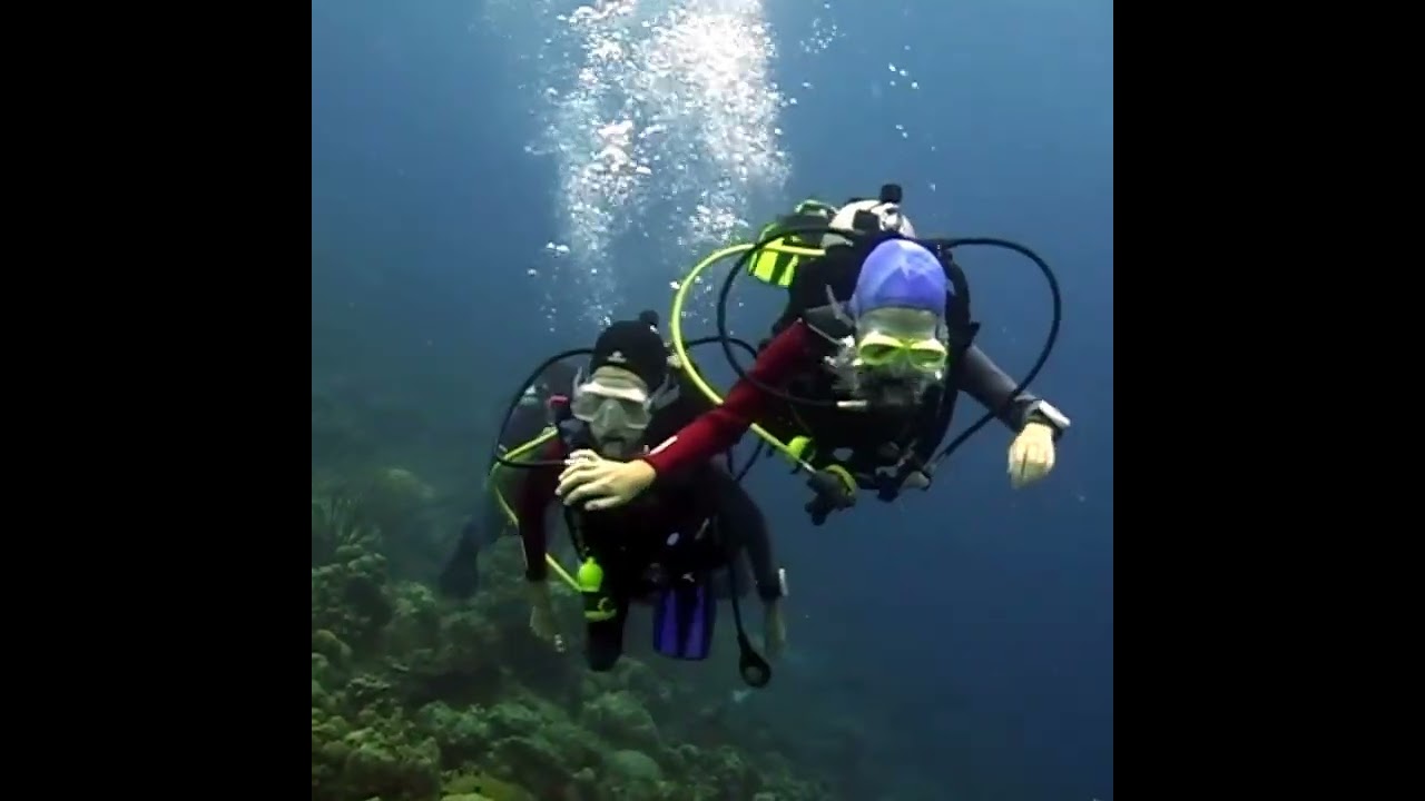 Családi merülés, Bonaire 2012