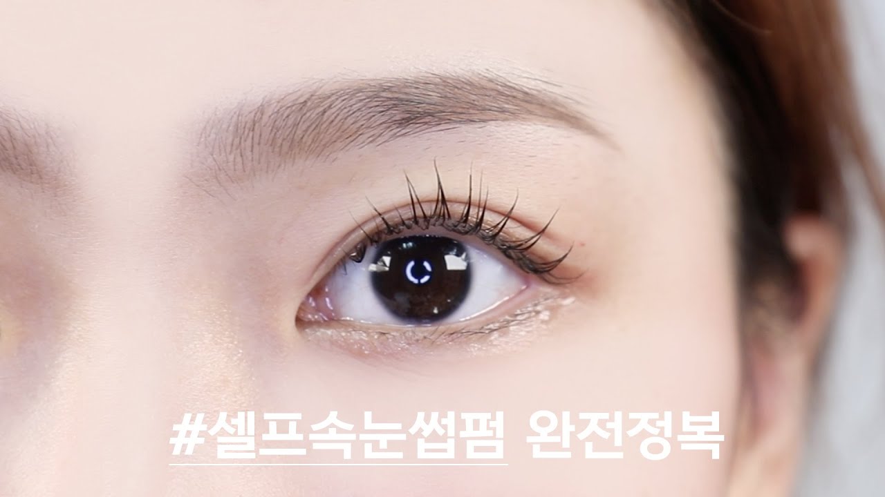 [내돈내산] 아던샵 셀프속눈썹펌 6개월차! 롯드 고르고 붙이기부터 글루, 펌제 바르는 법까지 자세하게!