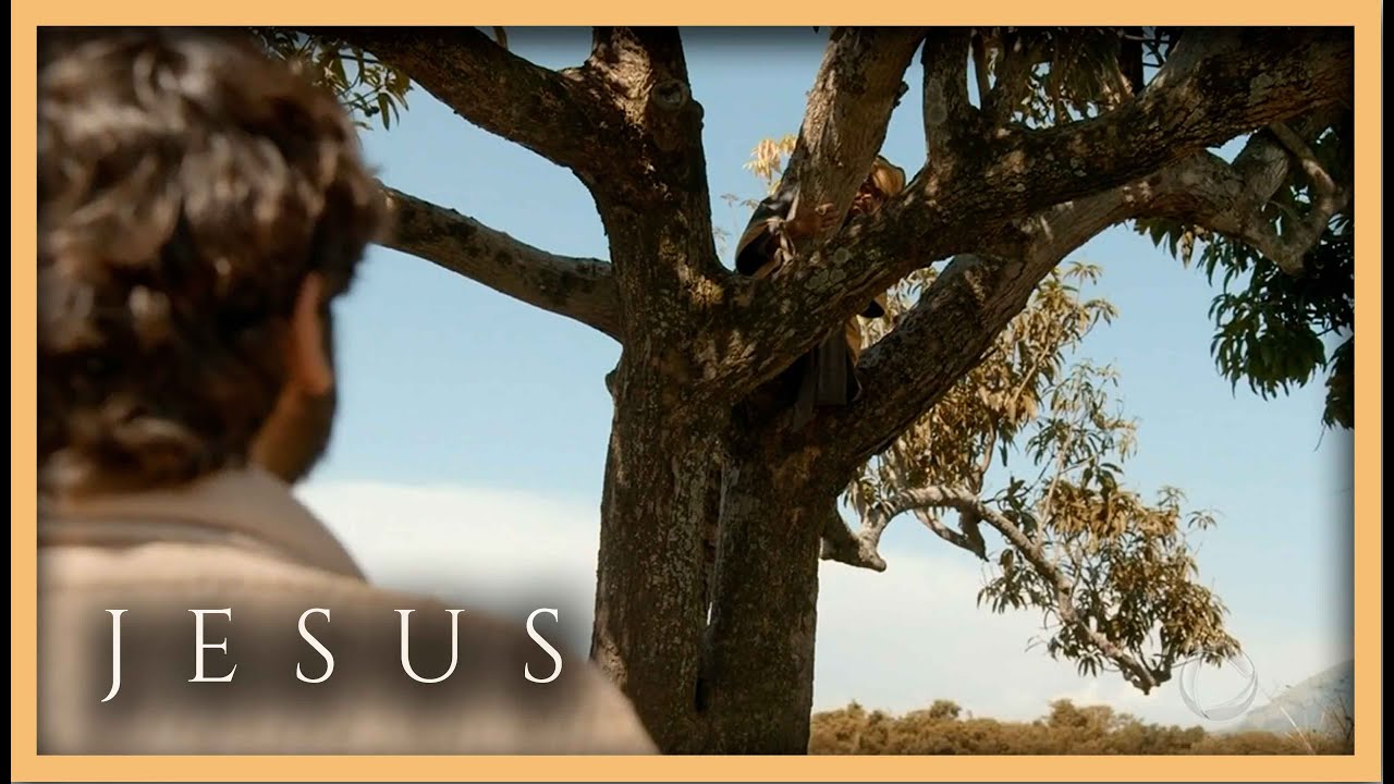 Jesus vê Zaqueu em cima da árvore e anuncia que se hospedará em sua casa | NOVELA JESUS
