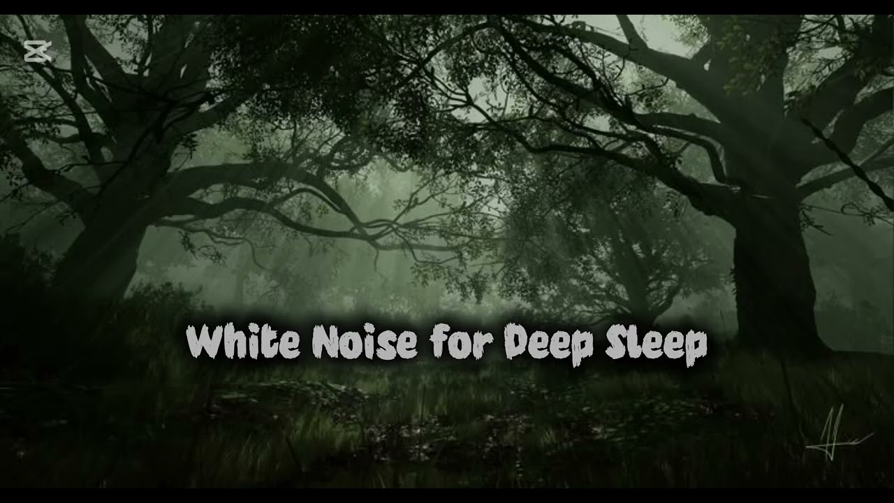 White Noise for Deep Sleep, Focus & Relaxation | 1 Hour | No Loop, No Music