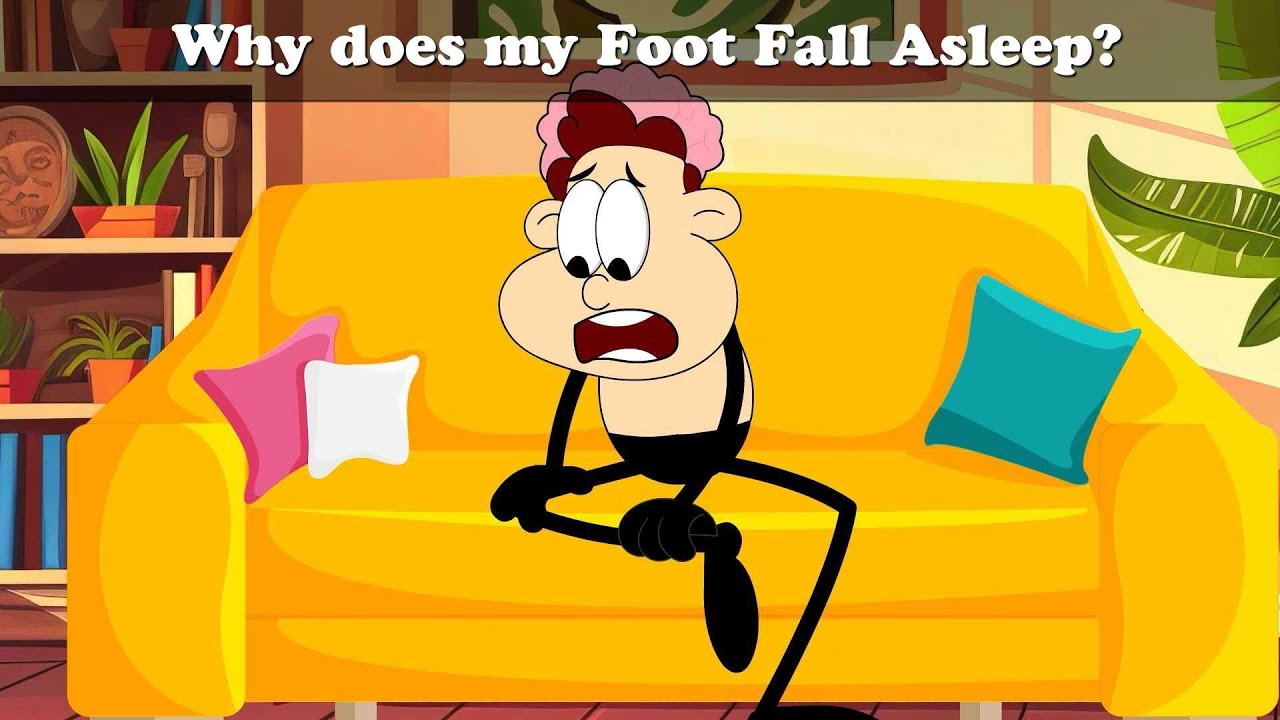 Why does my Foot Fall Asleep? + more videos | #chumpum #kids #children #science