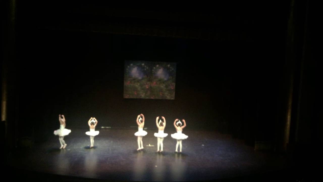 Danza sonia 2016 : unicornios