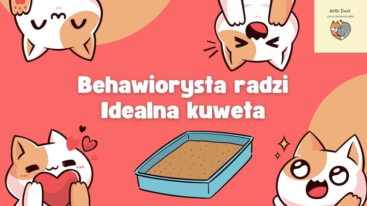 Jakiej kuwety potrzebuje Tw&oacute;j kot?