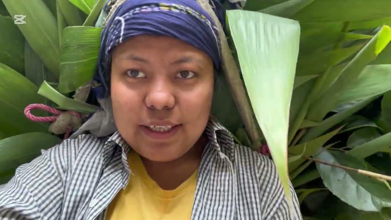 😱Aja Maro ￼ Den😒Gayo