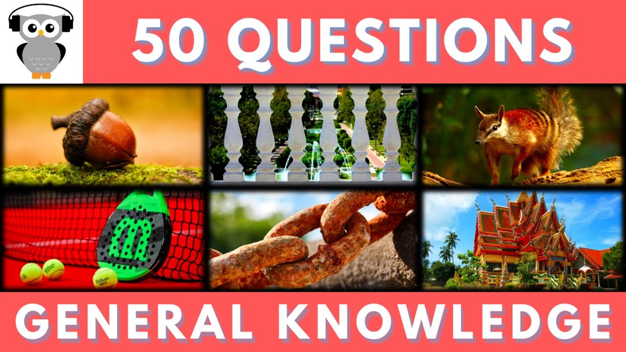 General Knowledge Quiz Trivia #102 | Acorn Tree, Australian Marsupial, Iron Corrosion, Bangkok