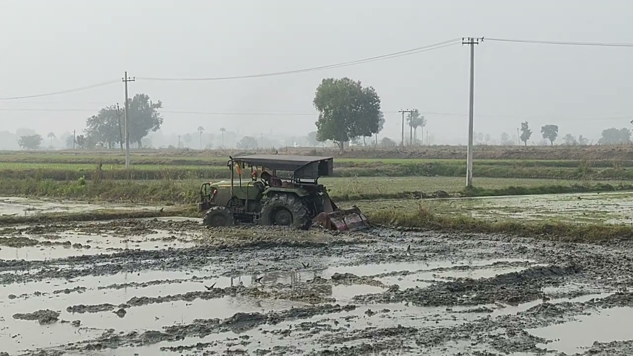 ధివడ్తున్న పొలం 🌾🌾లో ట్రాక్టర్🚜 