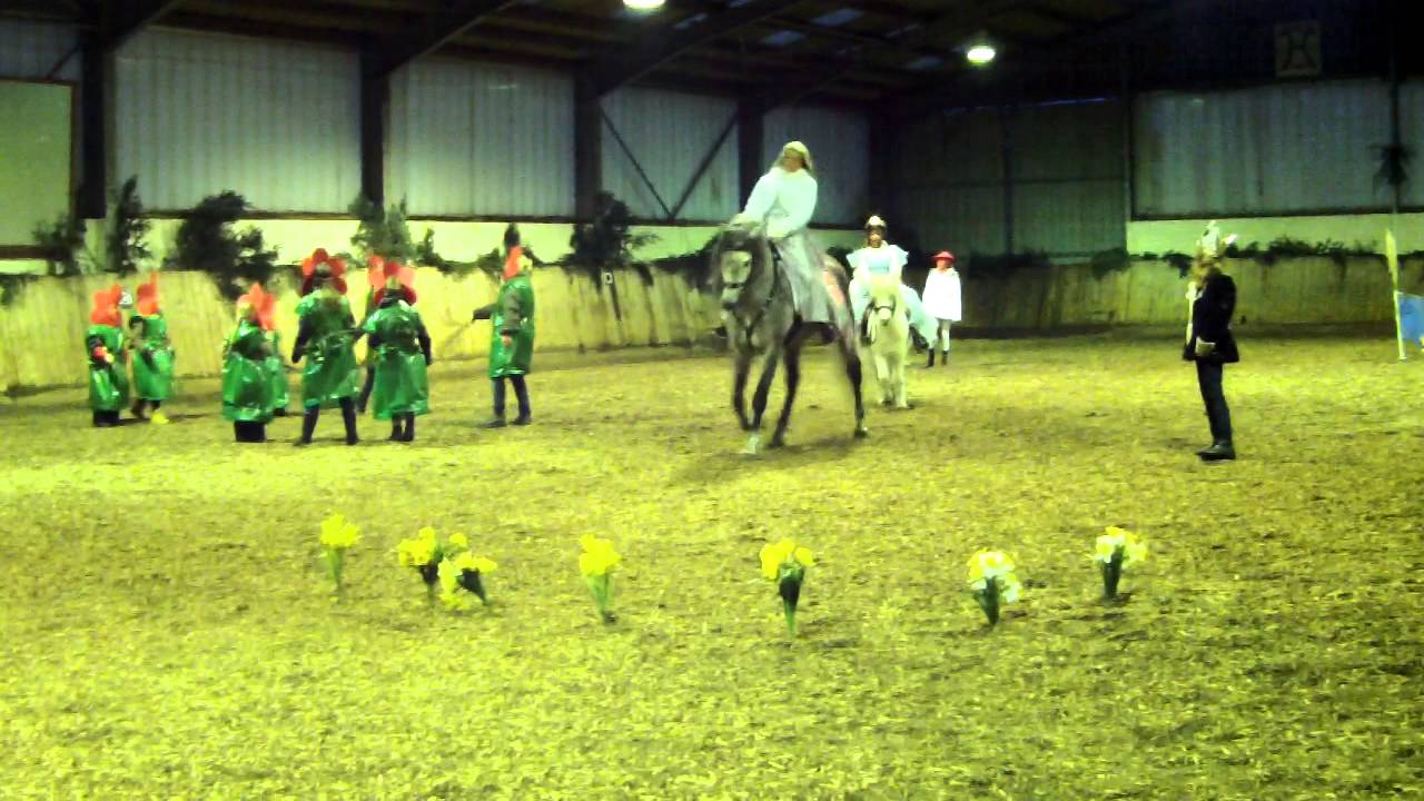 Weihnachtsreiten 2012