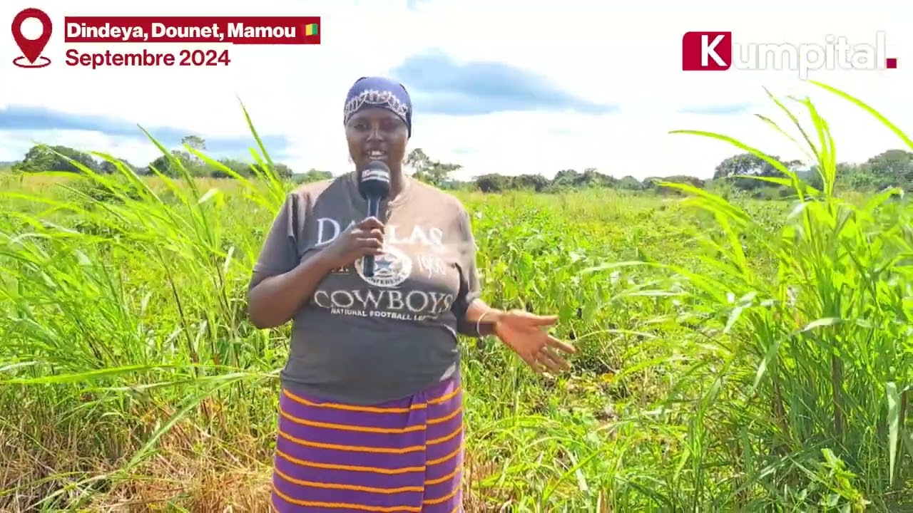 Mamou/Dounet 🇬🇳 : KUMPITAL est allé à la rencontre de Mariama Ciré CAMARA, agricultrice,gérante de