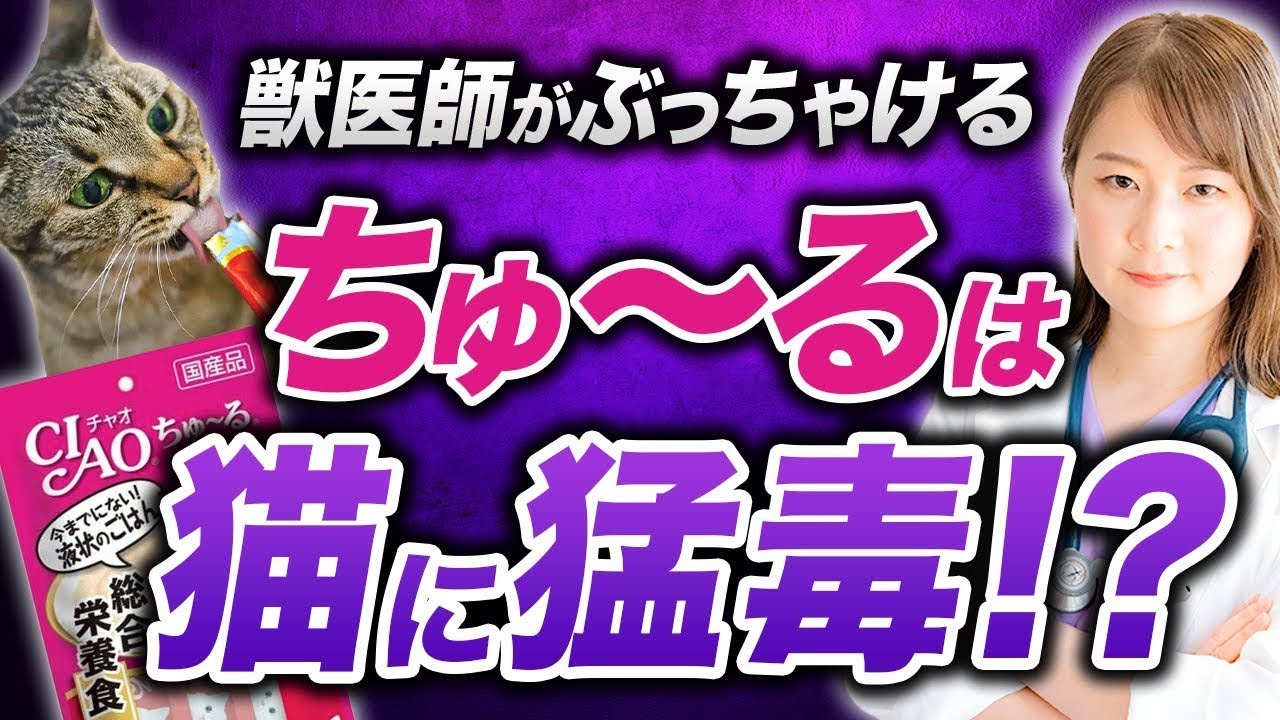 【有害】ちゅ〜るの真実。ちゅ〜るが美味しいヤバい理由を獣医師が解説