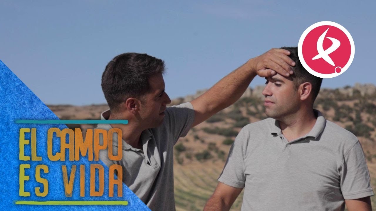 No hay días para estar enfermo en el campo | El campo es vida